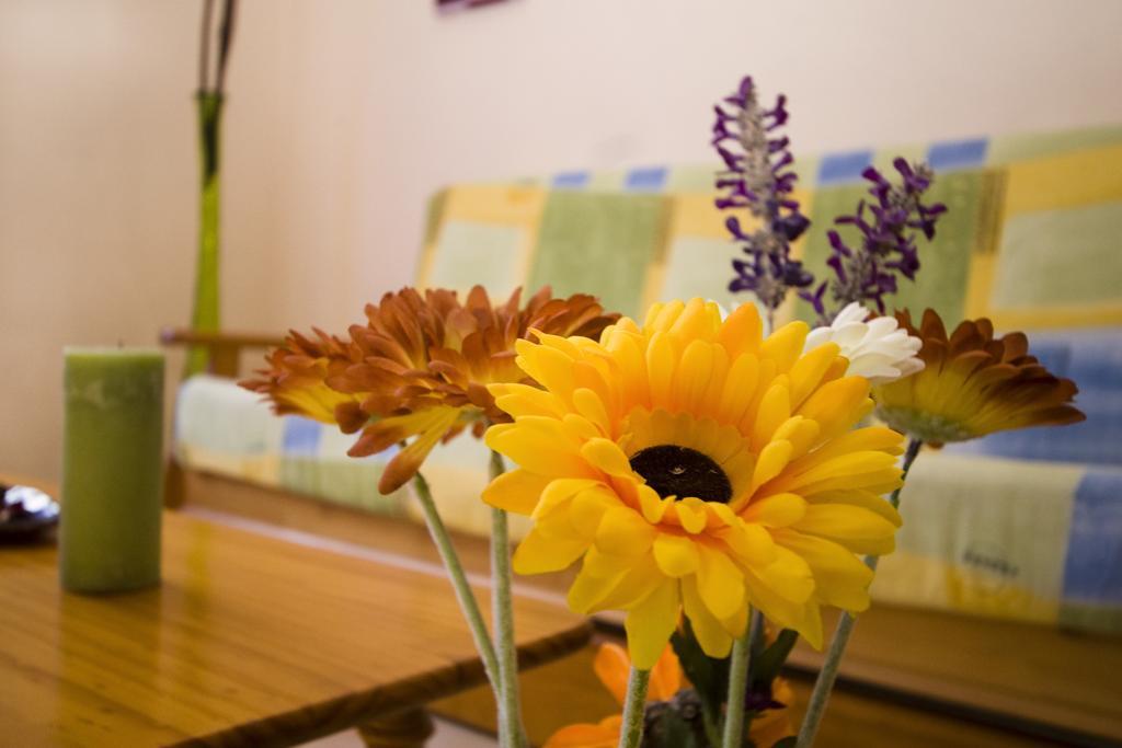 Apartamentos Dana Madrid Zimmer foto